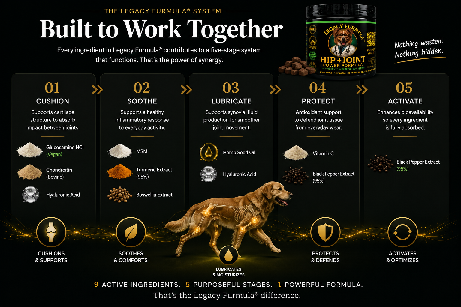 Legacy Furmula® — Not Just Ingredients. A Complete System. 9 active ingredients: Cartilage, Movement, Joint Fluid, Antioxidants, Absorption.