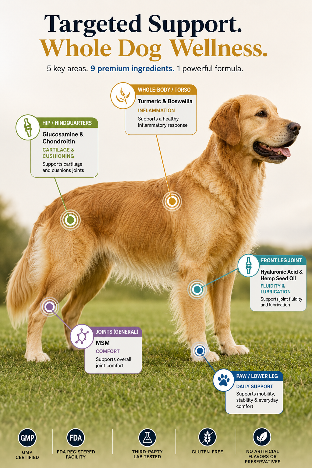Targeted support, whole dog wellness: 5 key areas, 9 premium ingredients, 1 powerful formula