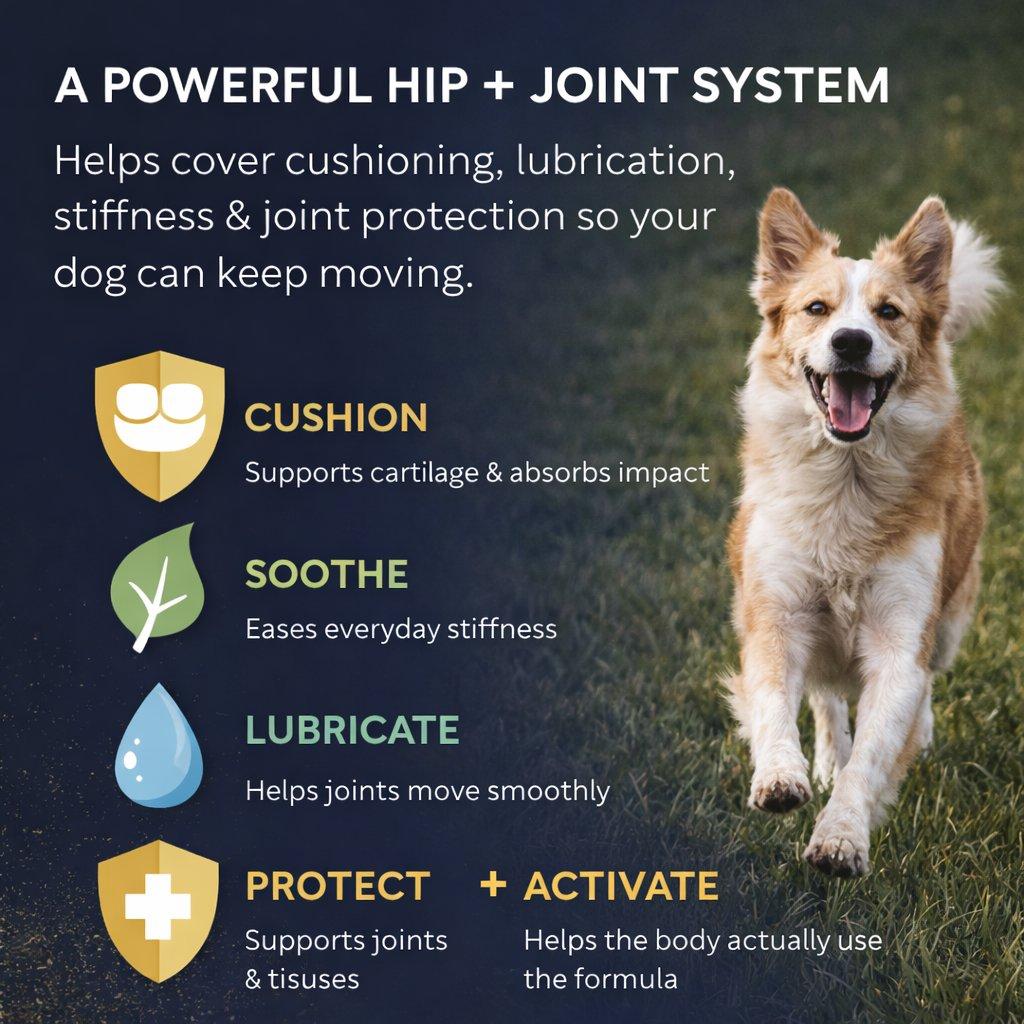 A Powerful Hip + Joint System: Cushion, Soothe, Lubricate, Protect, Activate